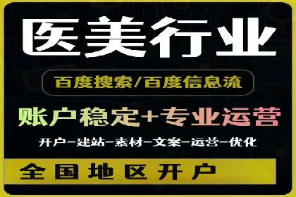 行业领先企业的SEM广告策略与效果分析